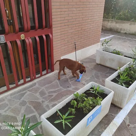 2 Metro A Free Parking *