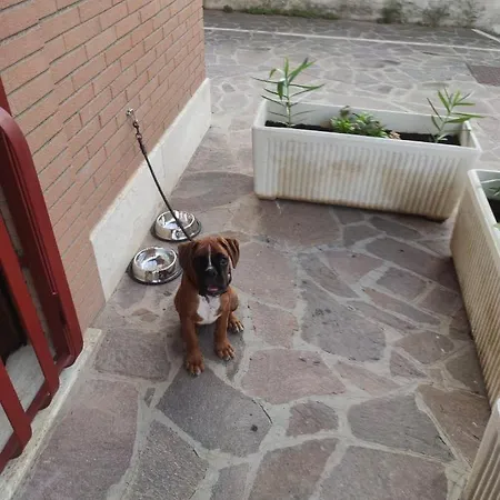 2 Metro A Free Parking *